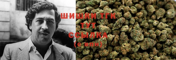 соль ск Михайлов