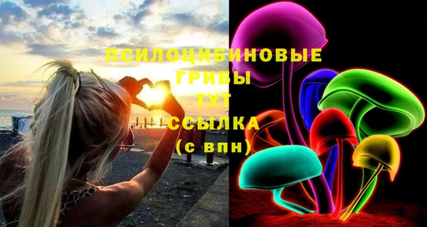 молекула духа Наволоки