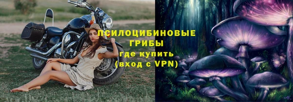 дживик Семилуки