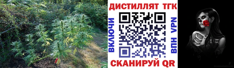 закладки  Ельня  Дистиллят ТГК вейп с тгк 