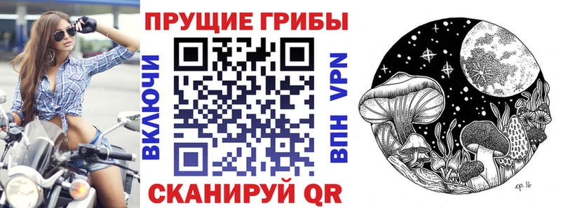 Псилоцибиновые грибы GOLDEN TEACHER  купить  цена  Ельня 